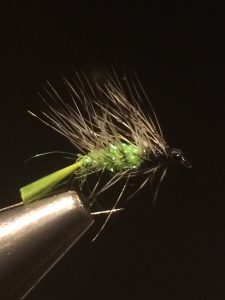 img_1154