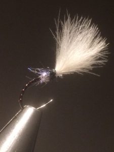 img_1271