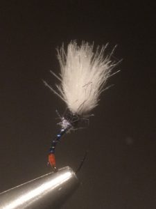 img_1277