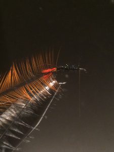 img_1340