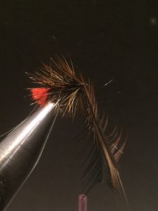 img_1341