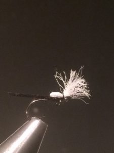 img_1352