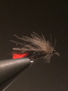 img_1360