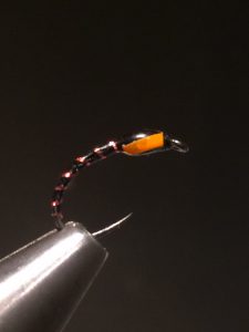 img_1361