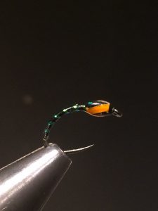img_1362