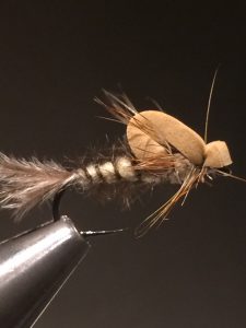 img_1365