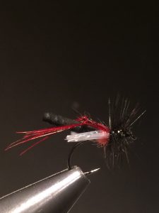 img_1368