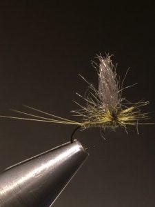 img_1370