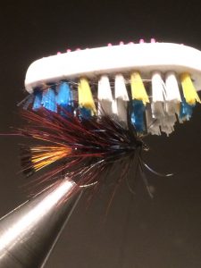 img_1431