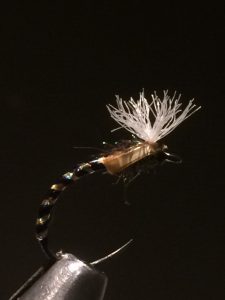 img_1457