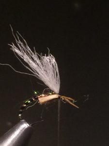 img_1470