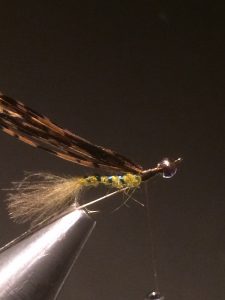 img_1521
