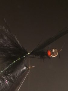 img_1547